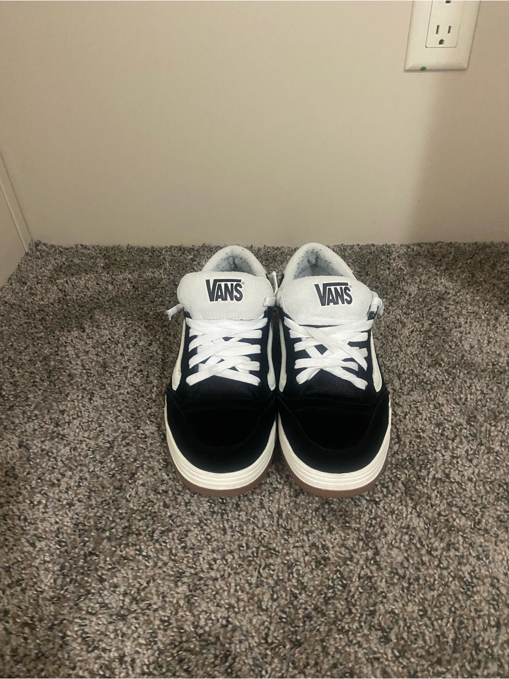 Vans Black and White Low-Top Skate Sneakers